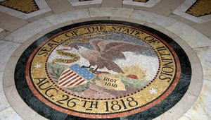 Domestic Partner Benefits in the State of Illinois